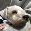 はなみこのプロフィール画像
