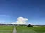 悠平のプロフィール画像