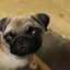 やっちゃんのプロフィール画像