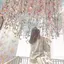 つのプロフィール画像