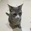 れたすのプロフィール画像