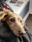 さお0706のプロフィール画像