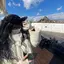 美咲のプロフィール画像