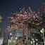 Ｙのプロフィール画像