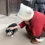 🧞‍♀️のプロフィール画像
