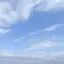 Mのプロフィール画像
