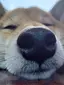 M,Kのプロフィール画像