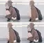 ちゃんあのプロフィール画像