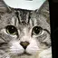 あーちゃんのプロフィール画像