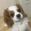 terのプロフィール画像