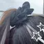ayakaのプロフィール画像