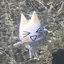あやののプロフィール画像