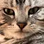 zztong3235のプロフィール画像