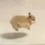 ｷｮｳｶのプロフィール画像