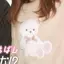 温のプロフィール画像