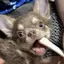 きりのプロフィール画像