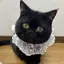 Mのプロフィール画像