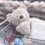 美紀のプロフィール画像