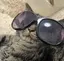 えぬのプロフィール画像