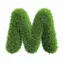 Mのプロフィール画像