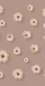 あいこ.* ⚘のプロフィール画像