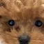 ろなそのプロフィール画像