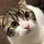 玲奈のプロフィール画像