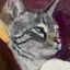 ❤️のプロフィール画像