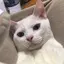emaのプロフィール画像