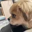 沙紀のプロフィール画像