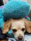 ちゃむたのプロフィール画像