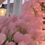 okakiのプロフィール画像