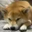 ゆうこのプロフィール画像