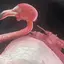 Nのプロフィール画像