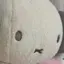凛奈のプロフィール画像