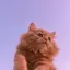nekoのプロフィール画像