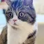 YUKOのプロフィール画像