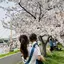 詩織のプロフィール画像