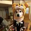 あゆのプロフィール画像