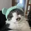 Rのプロフィール画像