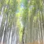 ばるみるろのプロフィール画像