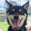 みきのプロフィール画像