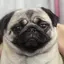 くみのプロフィール画像