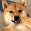 seiのプロフィール画像