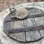 ☺︎のプロフィール画像