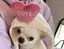 aimのプロフィール画像