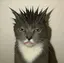 ダキのプロフィール画像
