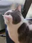 にこのプロフィール画像