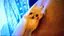 りやのプロフィール画像