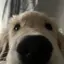 ˙ᴥ˙のプロフィール画像